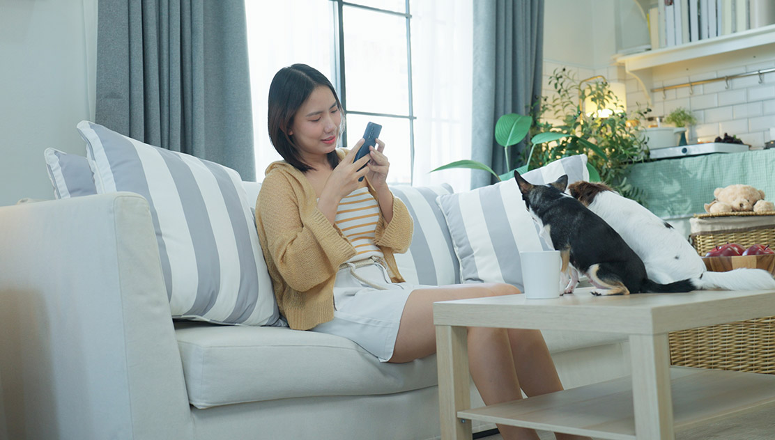 heat-exchanger-series