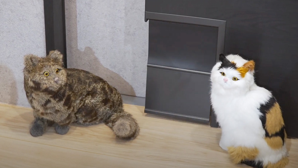 寵物照顧解決方案